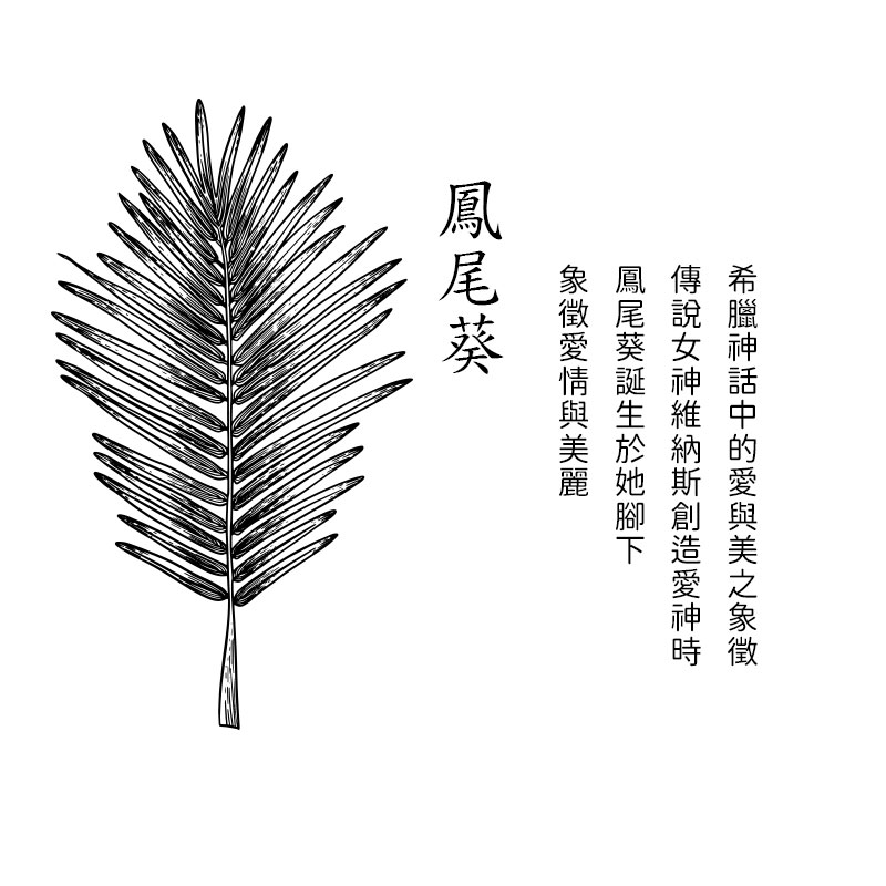 å¸èç¥è©±ä¸­çæèç¾ä¹è±¡å¾µ å³èªªå¥³ç¥ç¶­ç´æ¯åµé æç¥æ é³³å°¾èµèªçæ¼å¥¹èä¸ è±¡å¾µææèç¾éº é³³å°¾èµ 