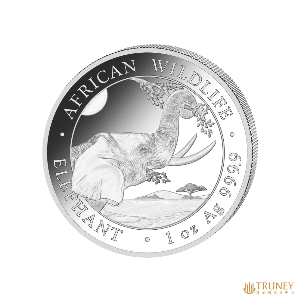 TRUNEY 2023索馬利亞非洲象銀幣1盎司優惠推薦