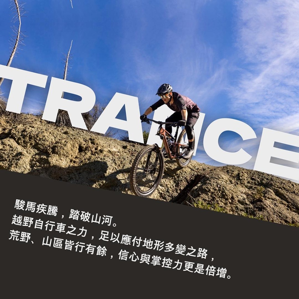 GIANT TRANCE X 29 1 雙避震登山自行車 2
