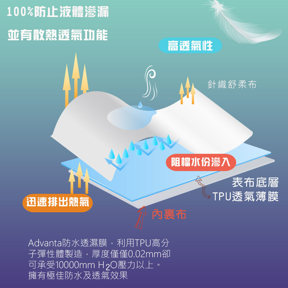 SOFBED 台灣製平面式防水保潔墊(5X6.2尺)優惠推薦