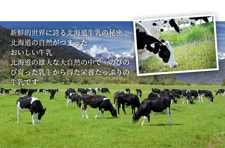 新鮮的世界誇北海道牛乳秘密