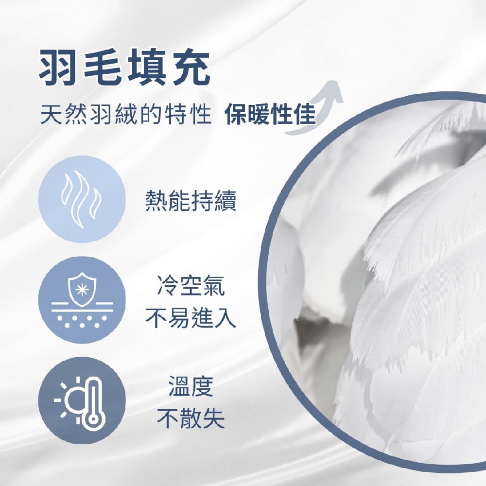 GNITE 天然水鳥羽毛石墨烯被 台灣製造(2.5kg/雙人