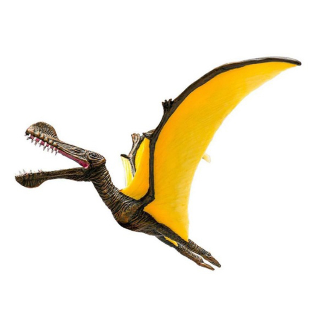 MOJO FUN 動物模型 動物星球頻道獨家授權 - 脊頜翼
