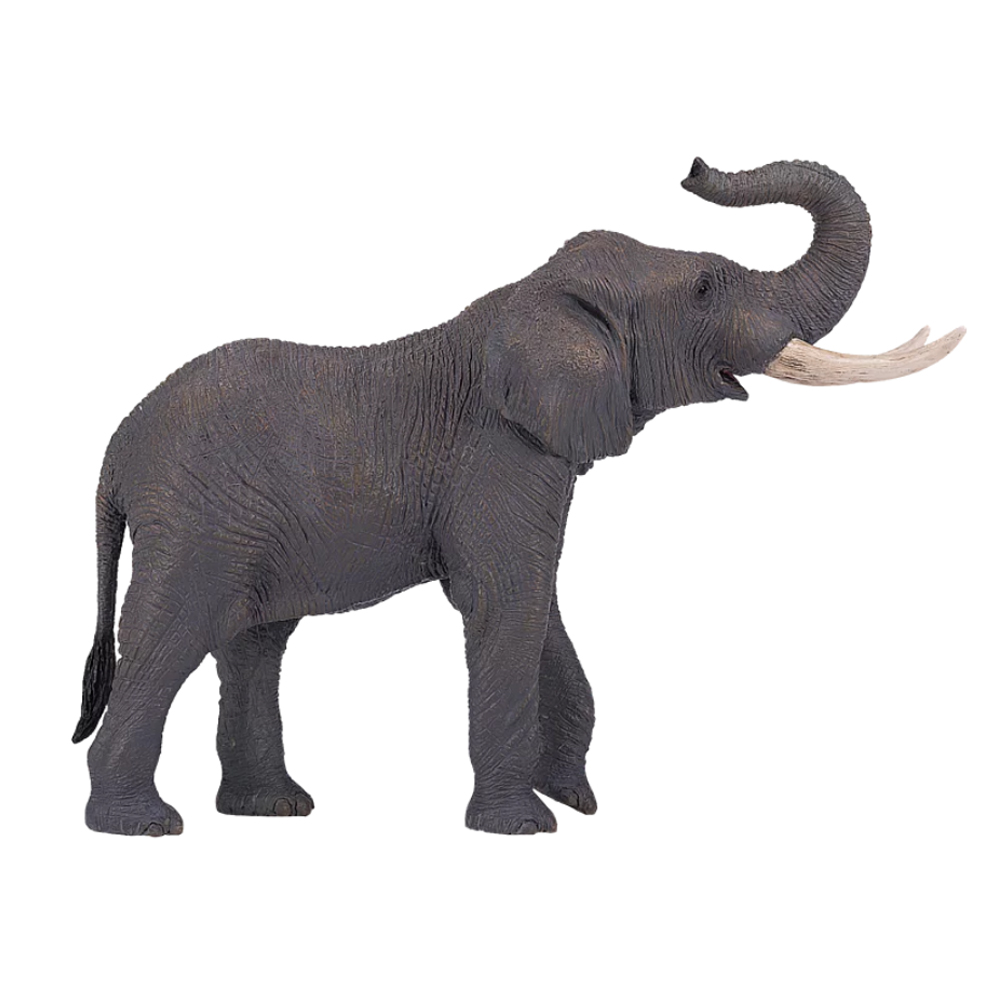 MOJO FUN 動物模型 動物星球頻道獨家授權 - 非洲象