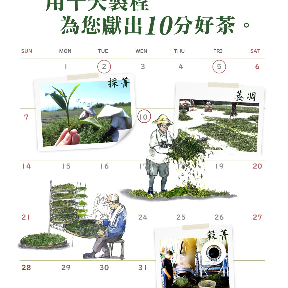 大表性 為您獻出10分好茶。 採菁 殺菁 萎凋 