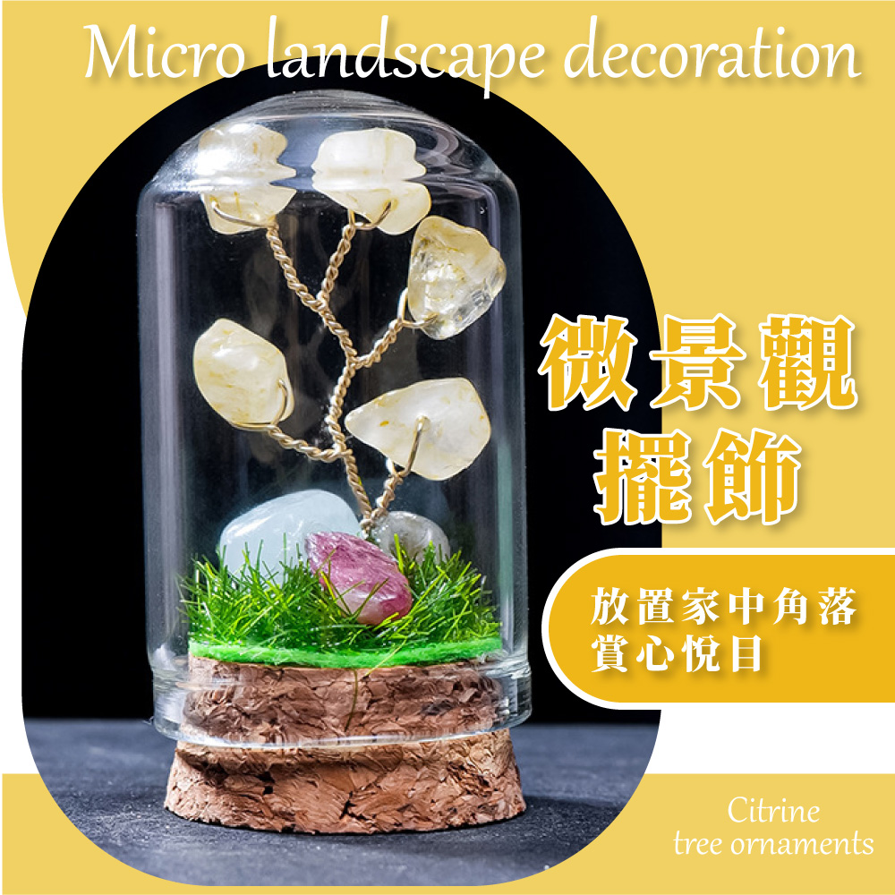 微景觀 擺飾 放置家中角落 賞心悅目 
