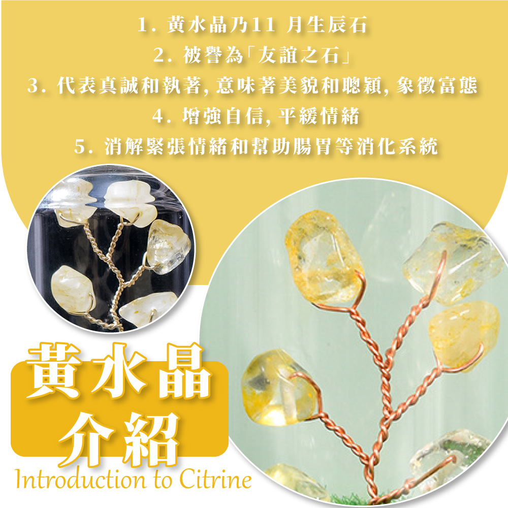 3. 代表真誠和執著, 意味著美貌和聰穎, 象徵富態