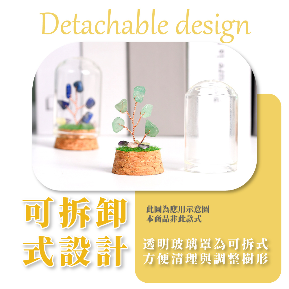 透明玻璃罩為可拆式