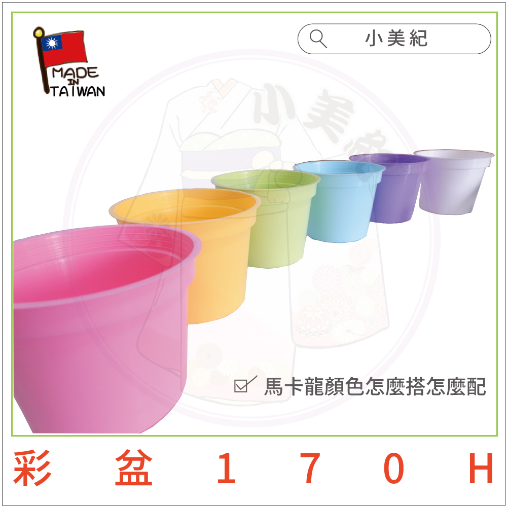 å°ç¾ç´ é¦¬å¡é¾é¡è²æéº¼æ­æéº¼é å½©ç170 H 