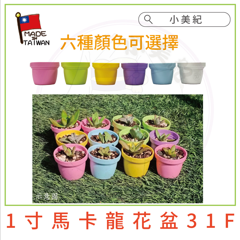å­ç¨®é¡è²å¯é¸æ å°ç¾ç´ ç¤ºæå 1å¯¸é¦¬å¡é¾è±ç 31F 
