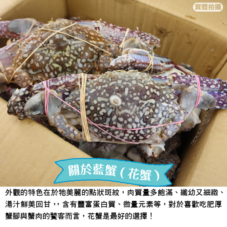 三頓飯 活凍特大隻藍花蟹(5隻_400-450g/隻)品牌優