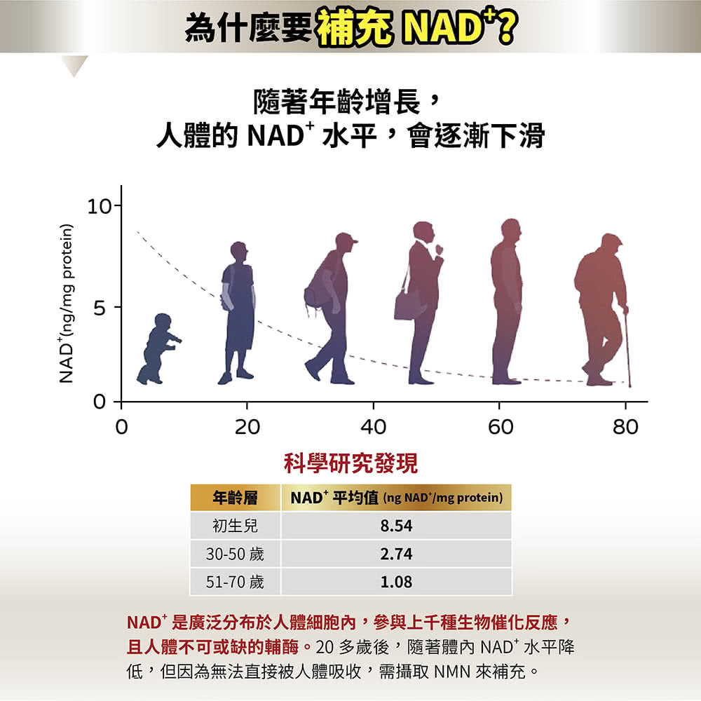 且人體不可或缺的輔酶。20 多歲後,隨著體內 NAD 水平降