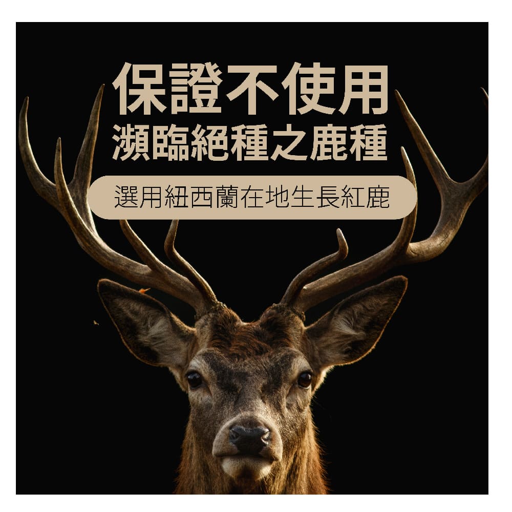 一之鹿】A級鹿茸膠囊(紐西蘭原裝進口60顆/無化學添加/無複方/純鹿茸