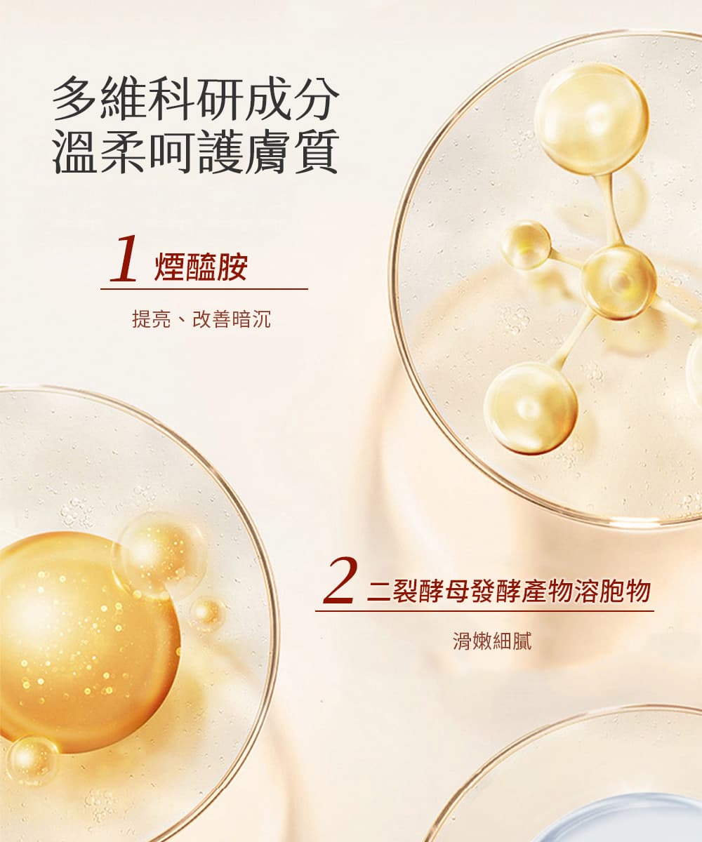 2二裂酵母發酵產物溶胞物