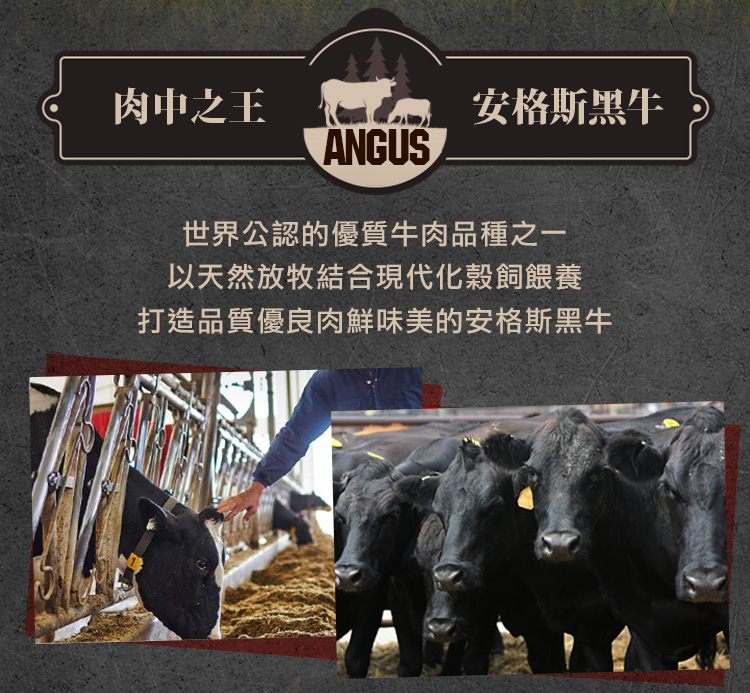 肉中之王 安格斯黑牛 世界公認的優質牛肉品種之一 以天然放牧結合現代化穀飼餵養 打造品質優良肉鮮味美的安格斯黑牛 