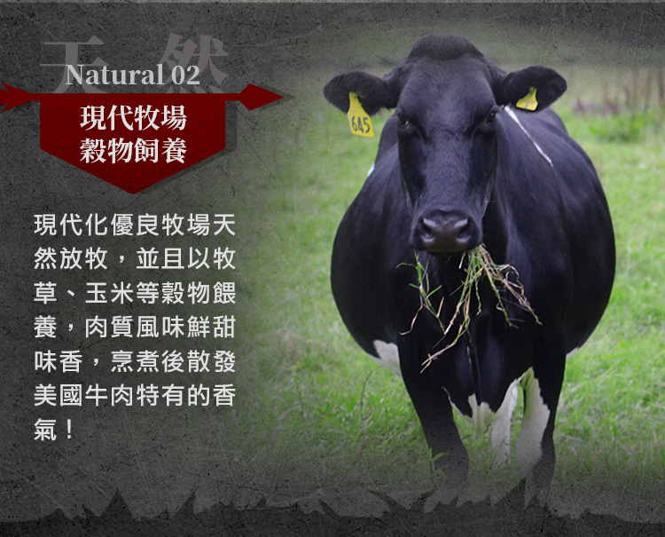現代化優良牧場天
