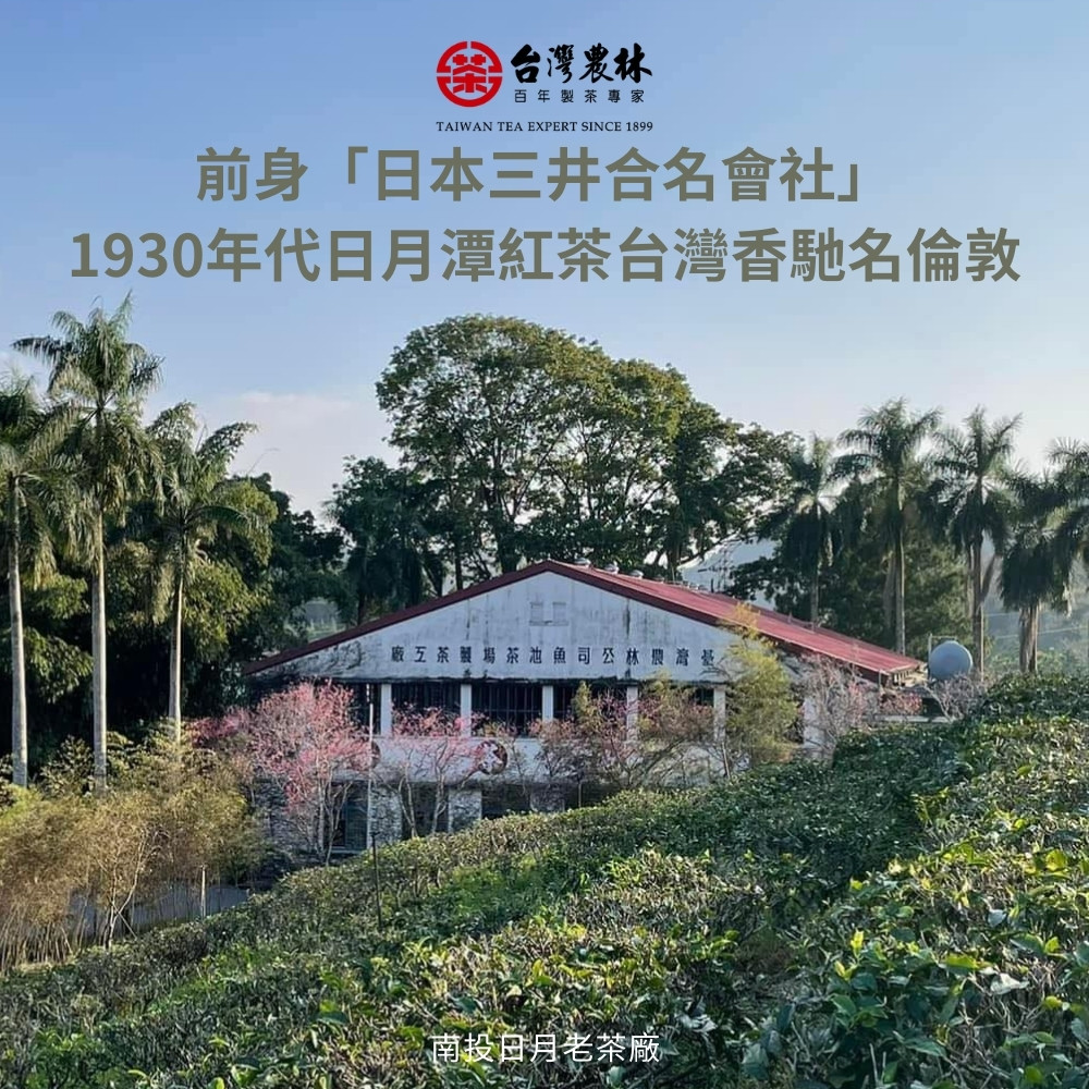 1930年代日月潭紅茶台灣香馳名倫敦