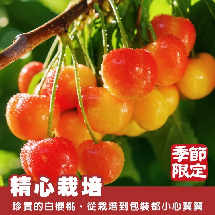 WANG 蔬果 智利草莓白櫻桃2J/9.5R 1kgx1盒(