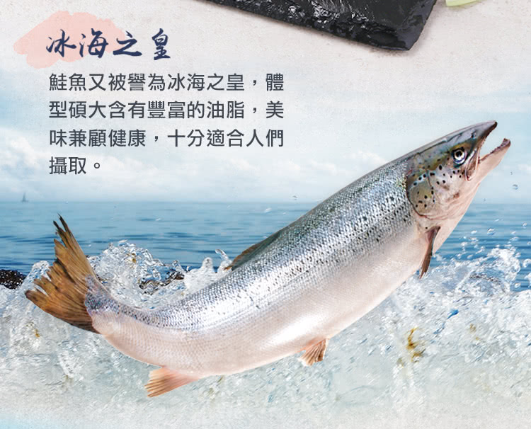 北村漁家 大西洋野生鮭魚菲力排120克x10包評價推薦