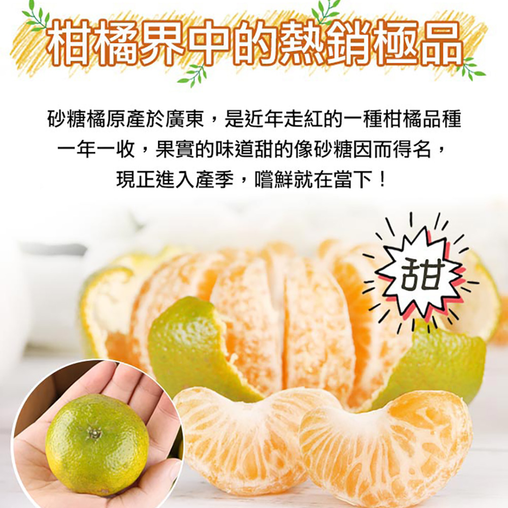鮮食堂 南投袖珍珍珠砂糖橘3斤x3箱(3斤/箱)品牌優惠
