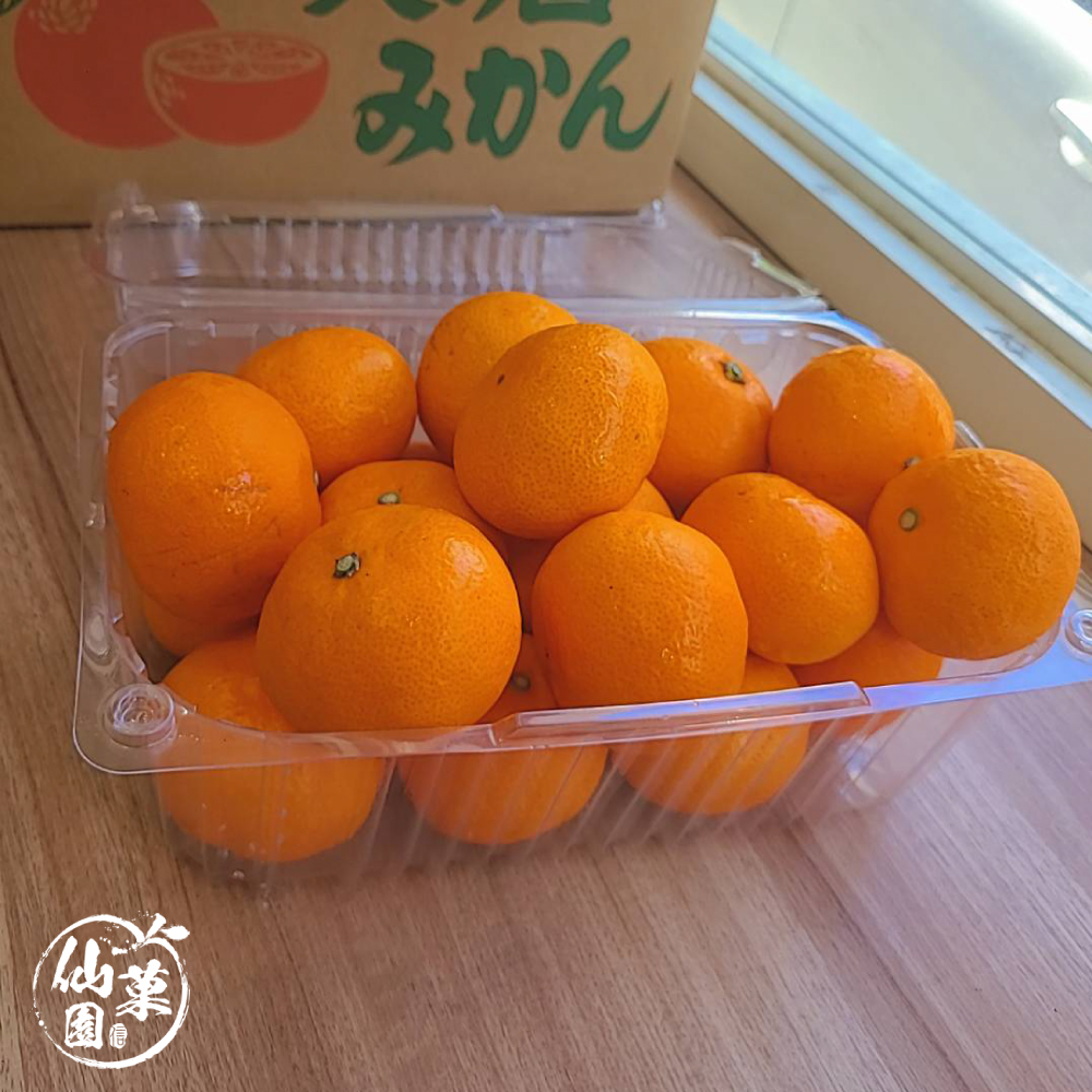 仙菓園 日本熊本 火之國蜜柑 盒裝.每盒約2kg±10%.約