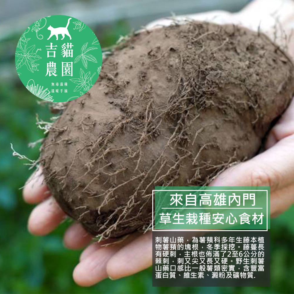 吉貓農園 高雄內門刺薯山藥5台斤x2箱(約3~6顆/箱_產地