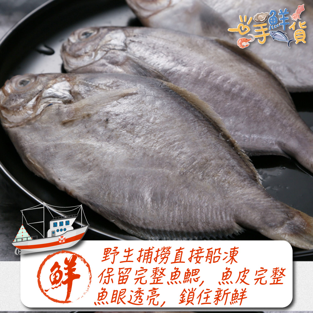 一手鮮貨 野生鮮甜肉魚(2包組/單包600g±10%/肉魚)