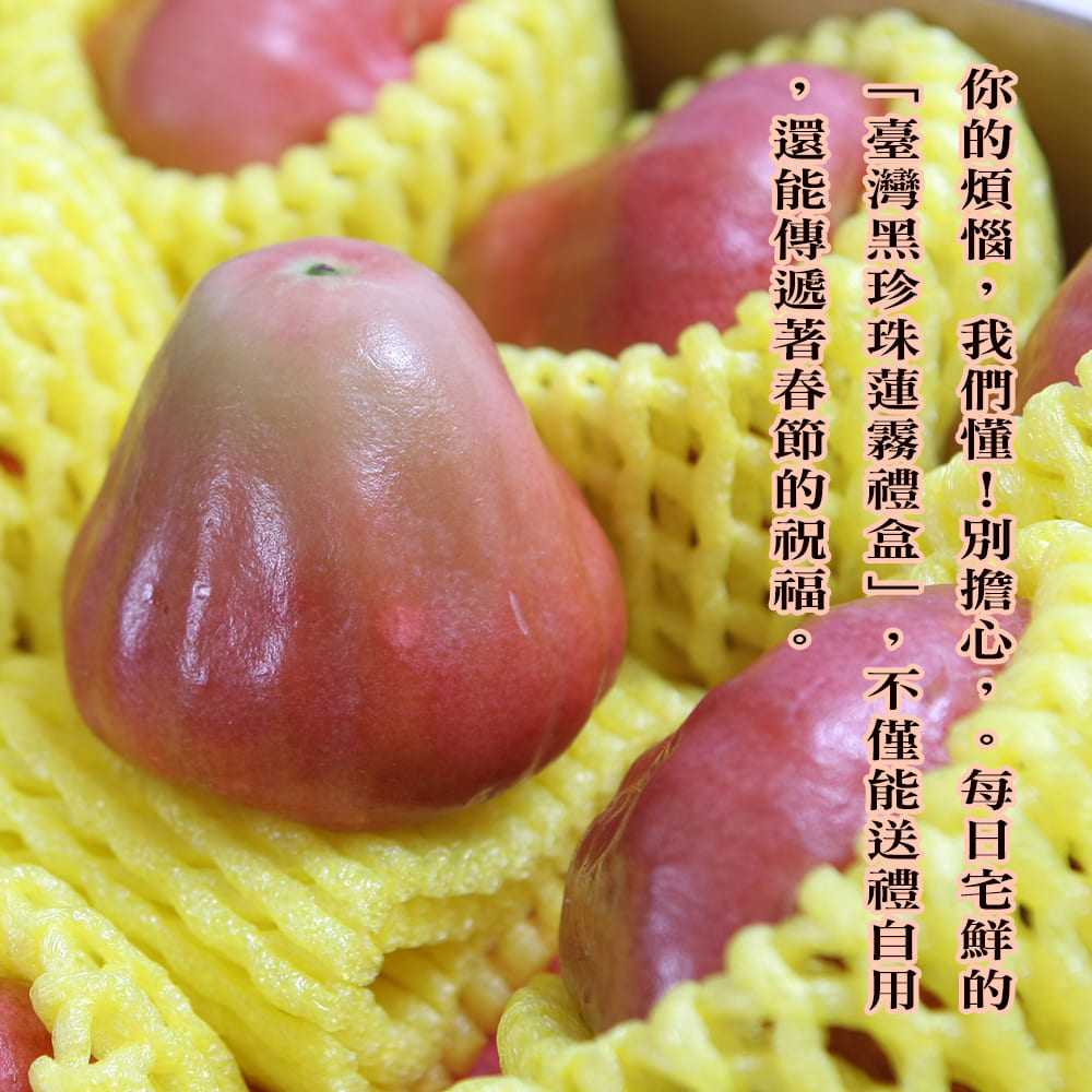 每日宅鮮 臺灣黑珍珠蓮霧禮盒 10-12顆(1.2kg／盒±