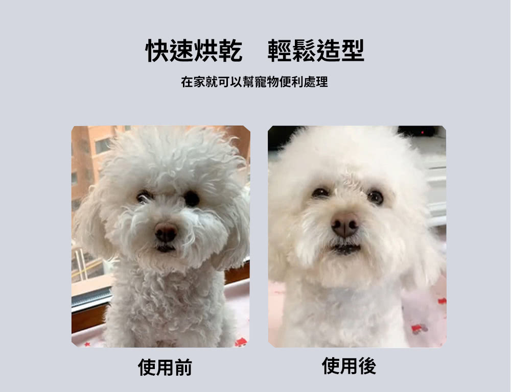 å¿«éçä¹¾è¼é¬é å å¨å®¶å°±å¯ä»¥å¹«å¯µç©ä¾¿å©èç ä½¿ç¨å ä½¿ç¨å¾ 