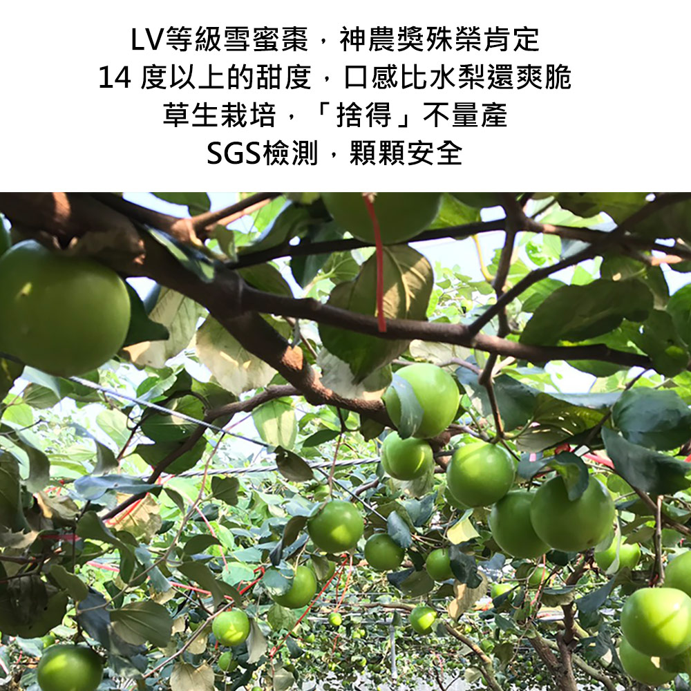 一籃子 屏東高樹草生雪蜜棗小菓禮盒/24顆/盒(甜度14度以