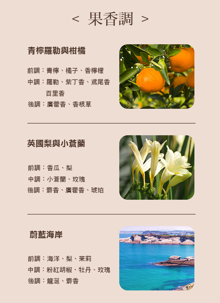 中調羅勒、紫丁香、鳶尾香