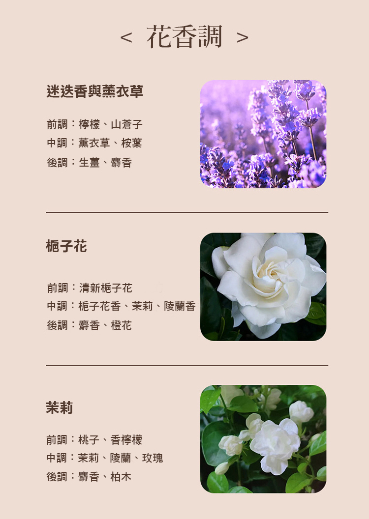 中調梔子花香、茉莉、陵蘭香