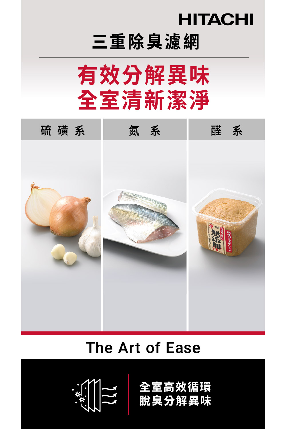 酵母水生3日主子