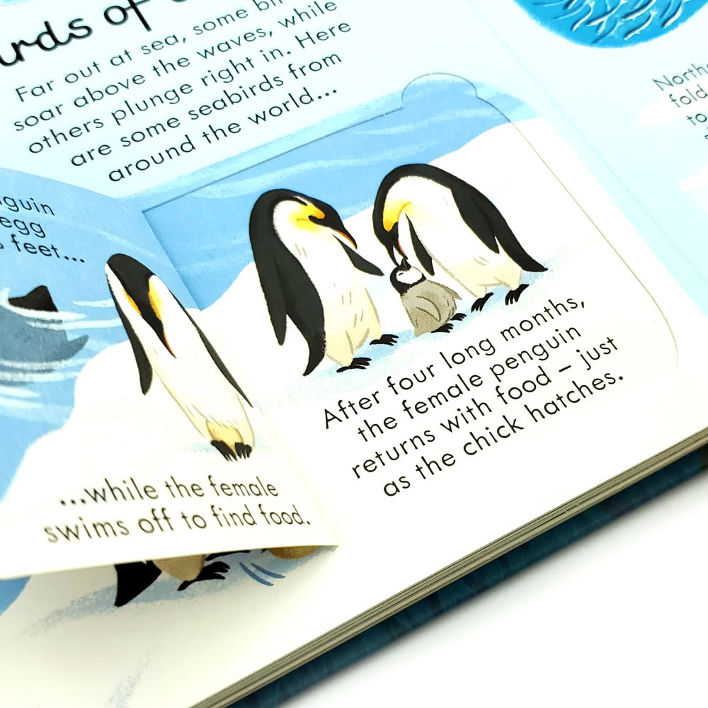 【iBezT】Seas and Oceans(Usborne