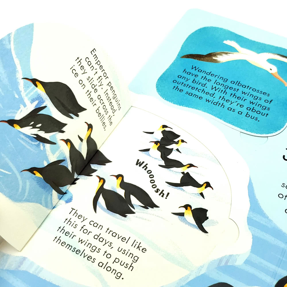 【iBezT】Seas and Oceans(Usborne