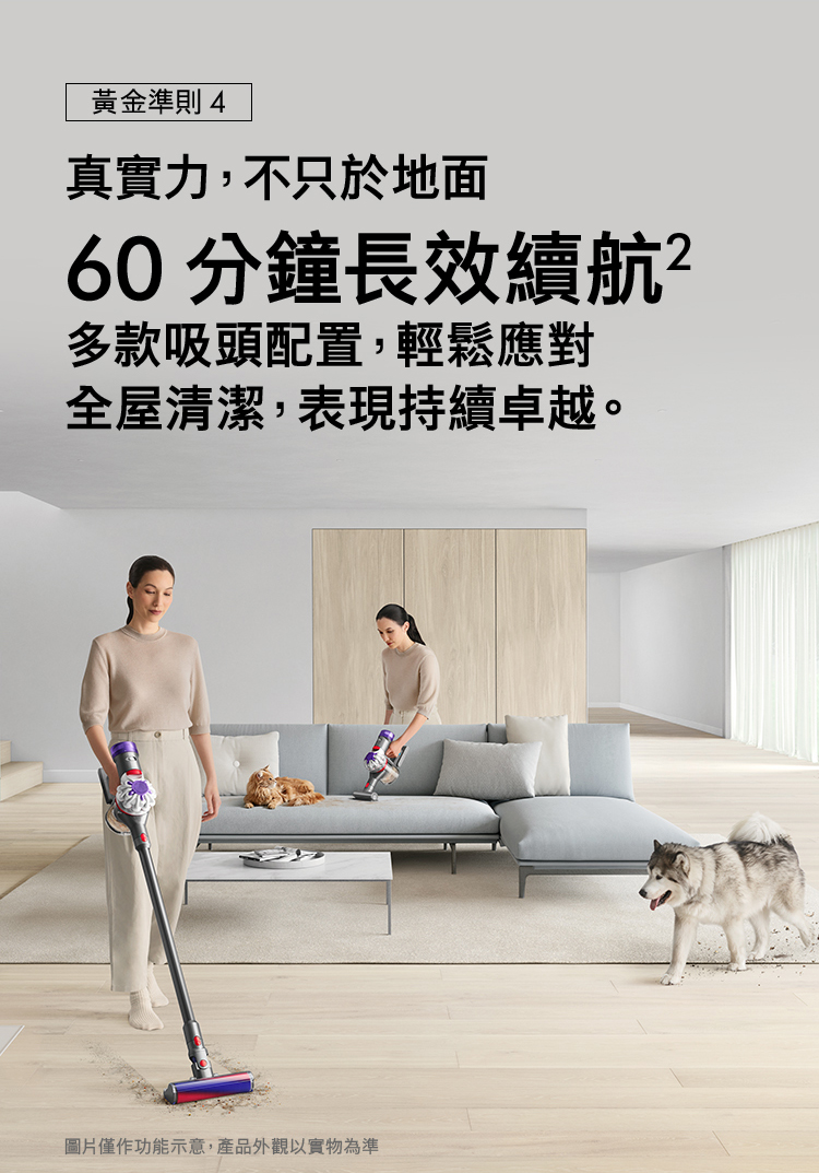 圖片僅作功能示意,產品外觀以實物為準