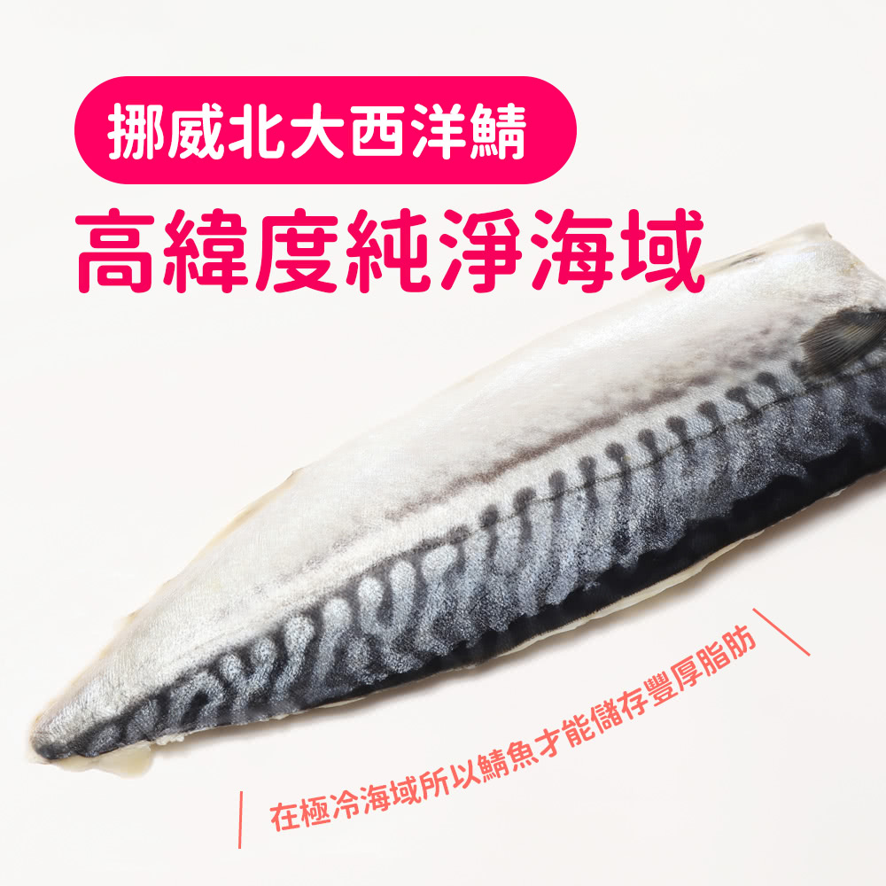 挪威北大西洋鯖 高緯度純淨海域 在極冷海域所以鯖魚才能儲存豐厚脂肪 
