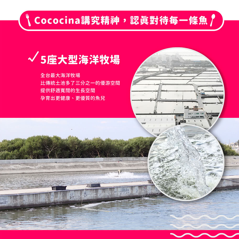 Cococina講究精神,認真對待每一條魚,