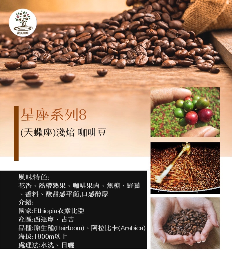 微美咖啡 星座系列8 天蠍座 淺焙咖啡豆 新鮮烘焙(200克