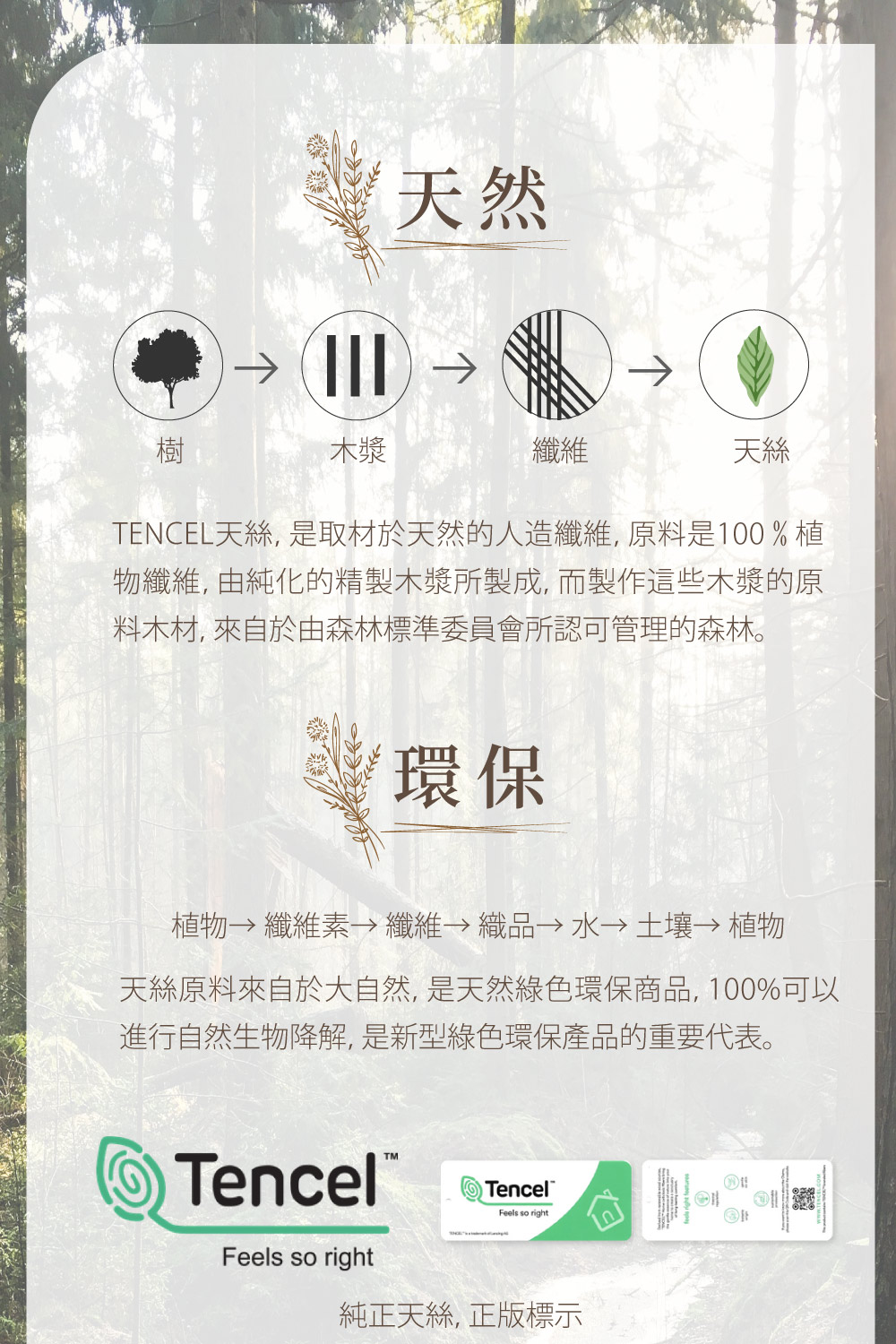 TENCEL天絲, 是取材於天然的人造纖維, 原料是100%植