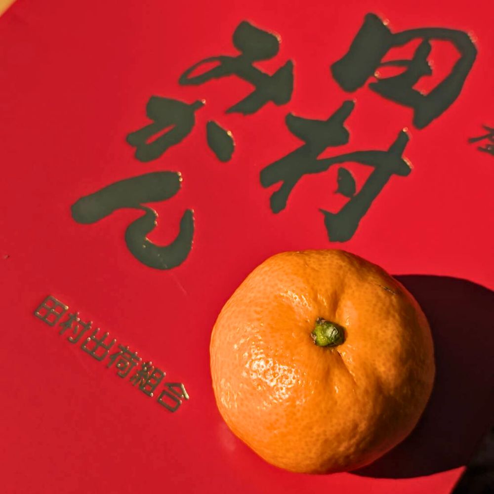 綠之果物 日本空運直送 無籽蜜柑禮盒(日本蜜柑 無籽蜜柑 日