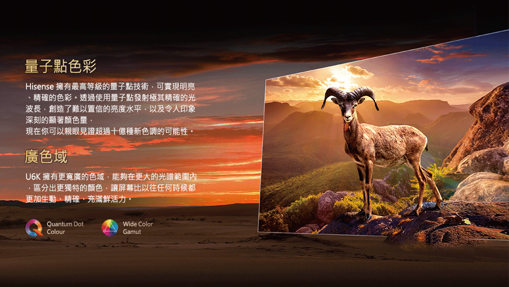 Hisense 擁有最高等級的量子點技術,可實現明亮