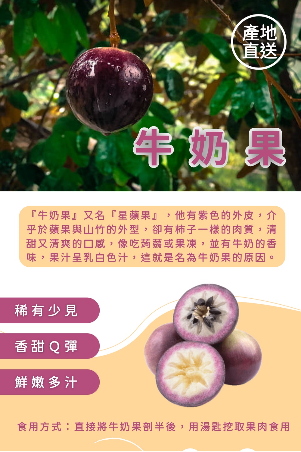 皮果家 嘉義夢幻紫貴牛奶果_星蘋果5斤/箱(珍貴稀少限量供應