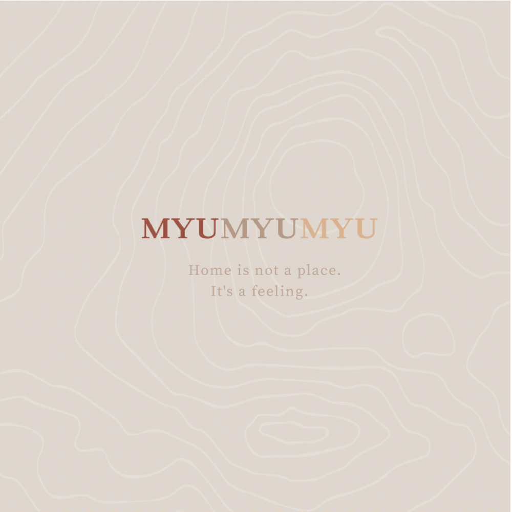 MYUMYU 沐慕家居 小怪獸收納框 大+小款(收納框 整理