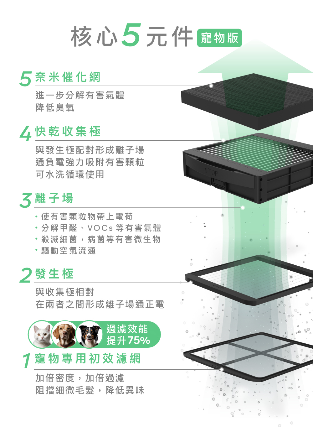åè§£ç²éãVOCs ç­æå®³æ°£é«