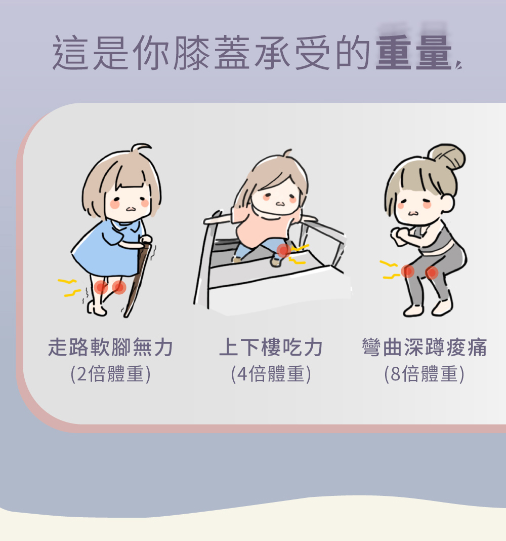 FUJI FG-512 - 詳情6