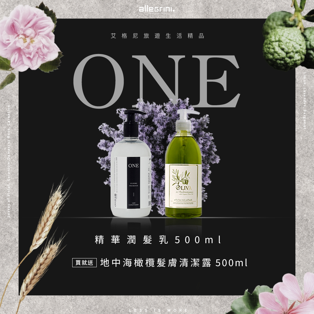 ALLEGRINI 艾格尼 ONE系列 精華潤髮乳500ml