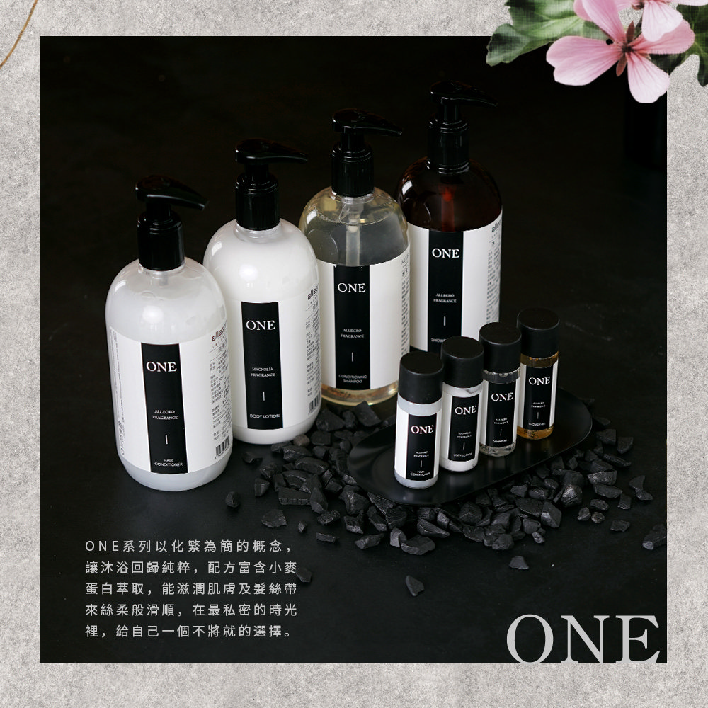 ALLEGRINI 艾格尼 ONE系列 精華潤髮乳500ml