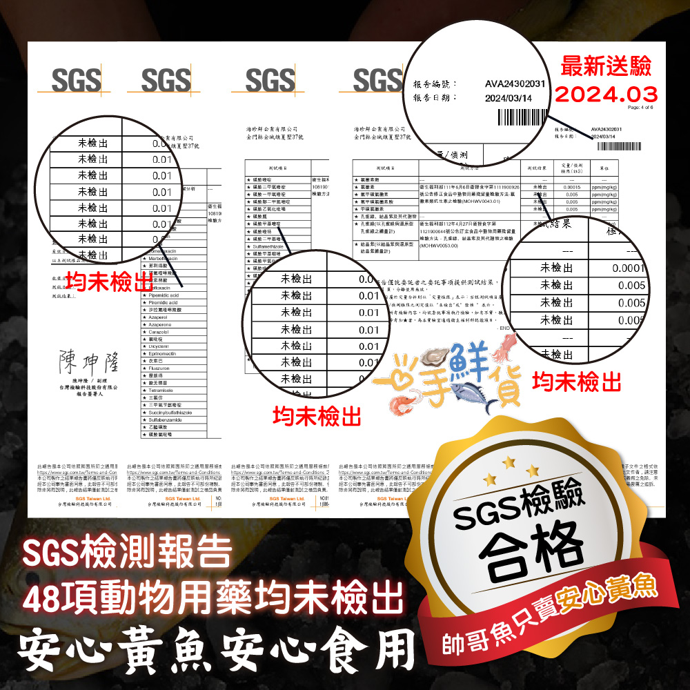 一手鮮貨 大黃魚SGS檢驗合格(2尾組/單尾殺清前600g±