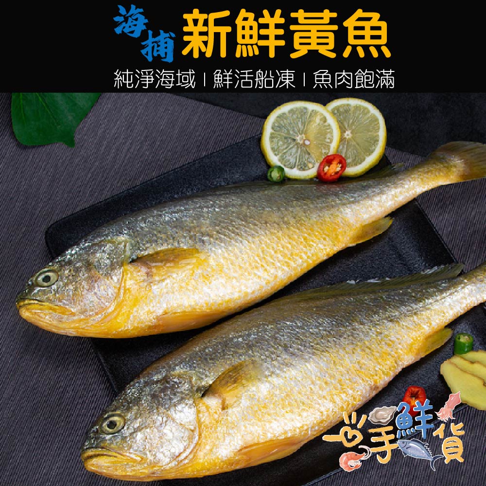 一手鮮貨 大黃魚SGS檢驗合格(2尾組/單尾殺清前600g±